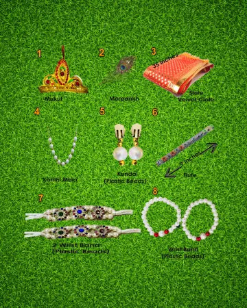 M29 Krishna Dress with Accessories QwikCart